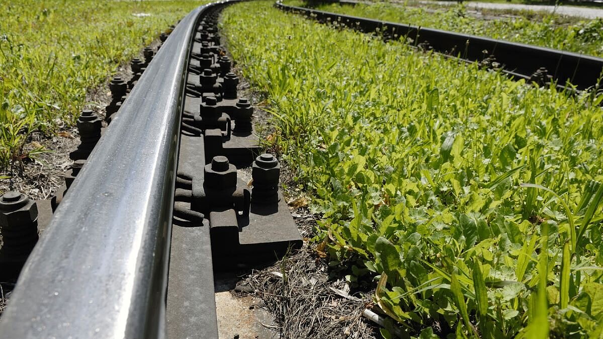 Photo with rails and grass